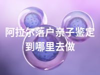 阿拉尔落户亲子鉴定到哪里去做