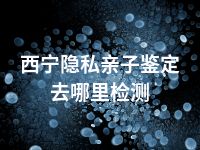 西宁隐私亲子鉴定去哪里检测