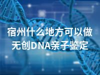 宿州什么地方可以做无创DNA亲子鉴定