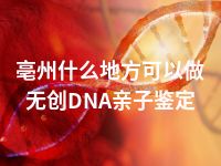 亳州什么地方可以做无创DNA亲子鉴定