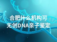 合肥什么机构可无创DNA亲子鉴定