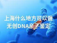上海什么地方可以做无创DNA亲子鉴定