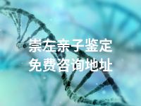 崇左亲子鉴定免费咨询地址