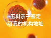 玉树亲子鉴定可靠的机构地址