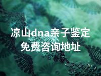 凉山dna亲子鉴定免费咨询地址