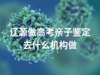辽源做高考亲子鉴定去什么机构做