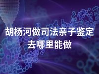 胡杨河做司法亲子鉴定去哪里能做