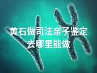 黄石做司法亲子鉴定去哪里能做