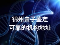 锦州亲子鉴定可靠的机构地址