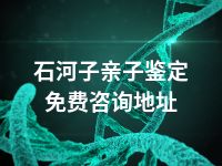 石河子亲子鉴定免费咨询地址