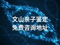 文山亲子鉴定免费咨询地址