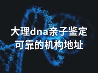 大理dna亲子鉴定可靠的机构地址