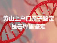 黄山上户口亲子鉴定是去哪里鉴定