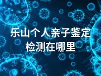 乐山个人亲子鉴定检测在哪里
