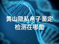 黄山隐私亲子鉴定检测在哪里