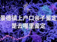 景德镇上户口亲子鉴定是去哪里鉴定