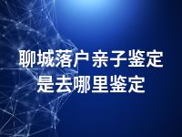 聊城落户亲子鉴定是去哪里鉴定