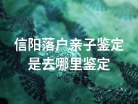 信阳落户亲子鉴定是去哪里鉴定