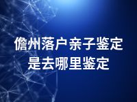 儋州落户亲子鉴定是去哪里鉴定