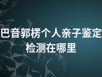 巴音郭楞个人亲子鉴定检测在哪里