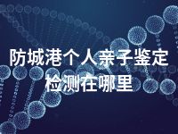 防城港个人亲子鉴定检测在哪里