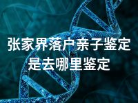 张家界落户亲子鉴定是去哪里鉴定