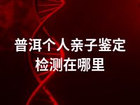 普洱个人亲子鉴定检测在哪里