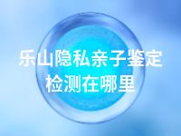 乐山隐私亲子鉴定检测在哪里
