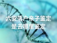 六安落户亲子鉴定是去哪里鉴定