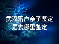 武汉落户亲子鉴定是去哪里鉴定