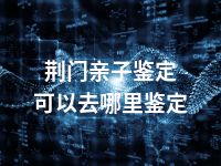 荆门亲子鉴定可以去哪里鉴定