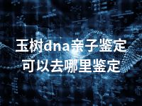 玉树dna亲子鉴定可以去哪里鉴定