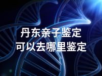 丹东亲子鉴定可以去哪里鉴定