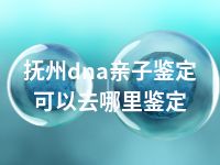 抚州dna亲子鉴定可以去哪里鉴定