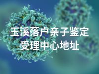 玉溪落户亲子鉴定受理中心地址