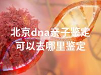 北京dna亲子鉴定可以去哪里鉴定