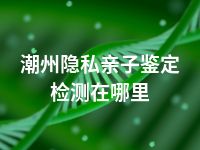 潮州隐私亲子鉴定检测在哪里