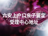 六安上户口亲子鉴定受理中心地址