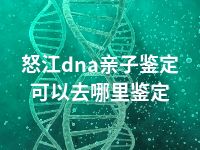 怒江dna亲子鉴定可以去哪里鉴定