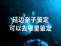 延边亲子鉴定可以去哪里鉴定