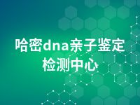 哈密dna亲子鉴定检测中心