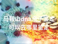马鞍山dna亲子鉴定可以去哪里鉴定