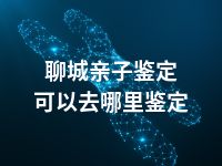 聊城亲子鉴定可以去哪里鉴定