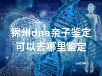 锦州dna亲子鉴定可以去哪里鉴定