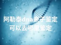 阿勒泰dna亲子鉴定可以去哪里鉴定