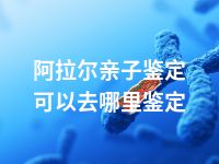 阿拉尔亲子鉴定可以去哪里鉴定