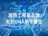 湘西上哪里去做无创DNA亲子鉴定