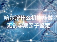 哈尔滨什么机构能做无创孕期亲子鉴定