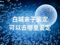 白城亲子鉴定可以去哪里鉴定