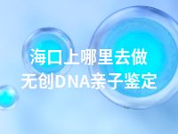 海口上哪里去做无创DNA亲子鉴定